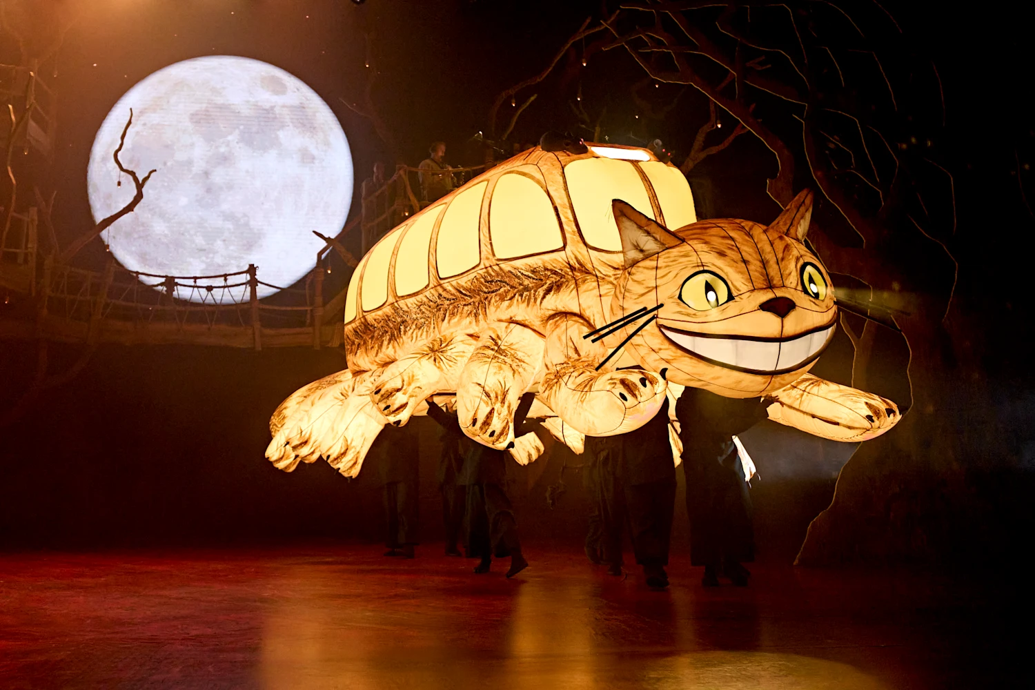My Neighbour Totoro: What to expect - 6